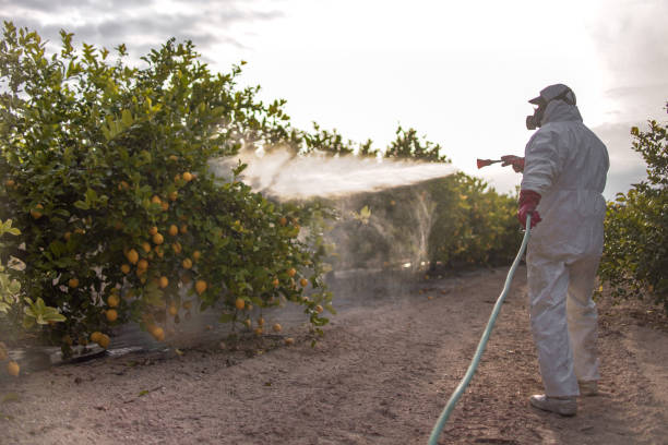 Best Bed Bug Extermination  in Centerville, OH