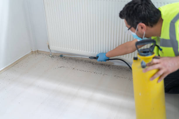 Best Affordable Pest Control Services  in Centerville, OH